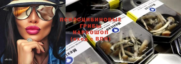 ПСИЛОЦИБИНОВЫЕ ГРИБЫ Богданович