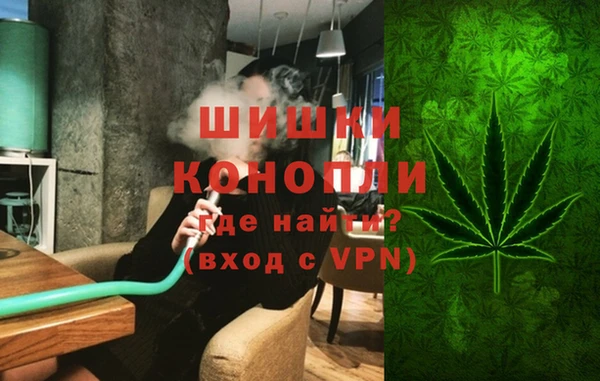 сатива Белоозёрский