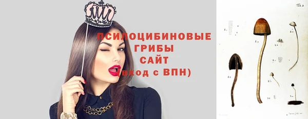 дживик Белокуриха