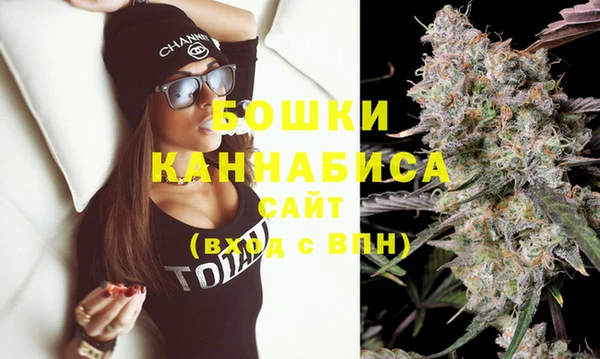 ПСИЛОЦИБИНОВЫЕ ГРИБЫ Богданович