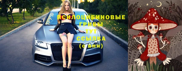 сатива Белоозёрский