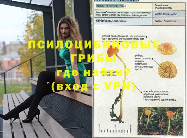 ПСИЛОЦИБИНОВЫЕ ГРИБЫ Богданович