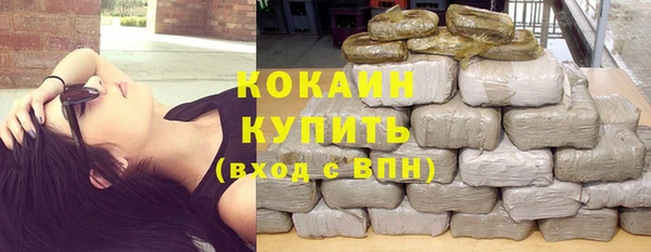 тгк Богородицк