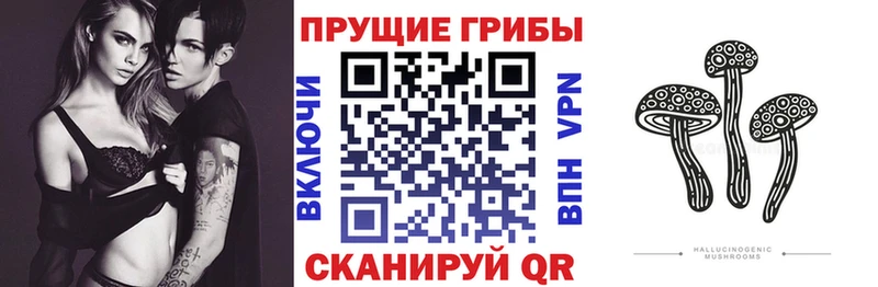 Галлюциногенные грибы Magic Shrooms  где можно купить   Бутурлиновка 