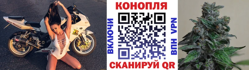 Канабис конопля Бутурлиновка